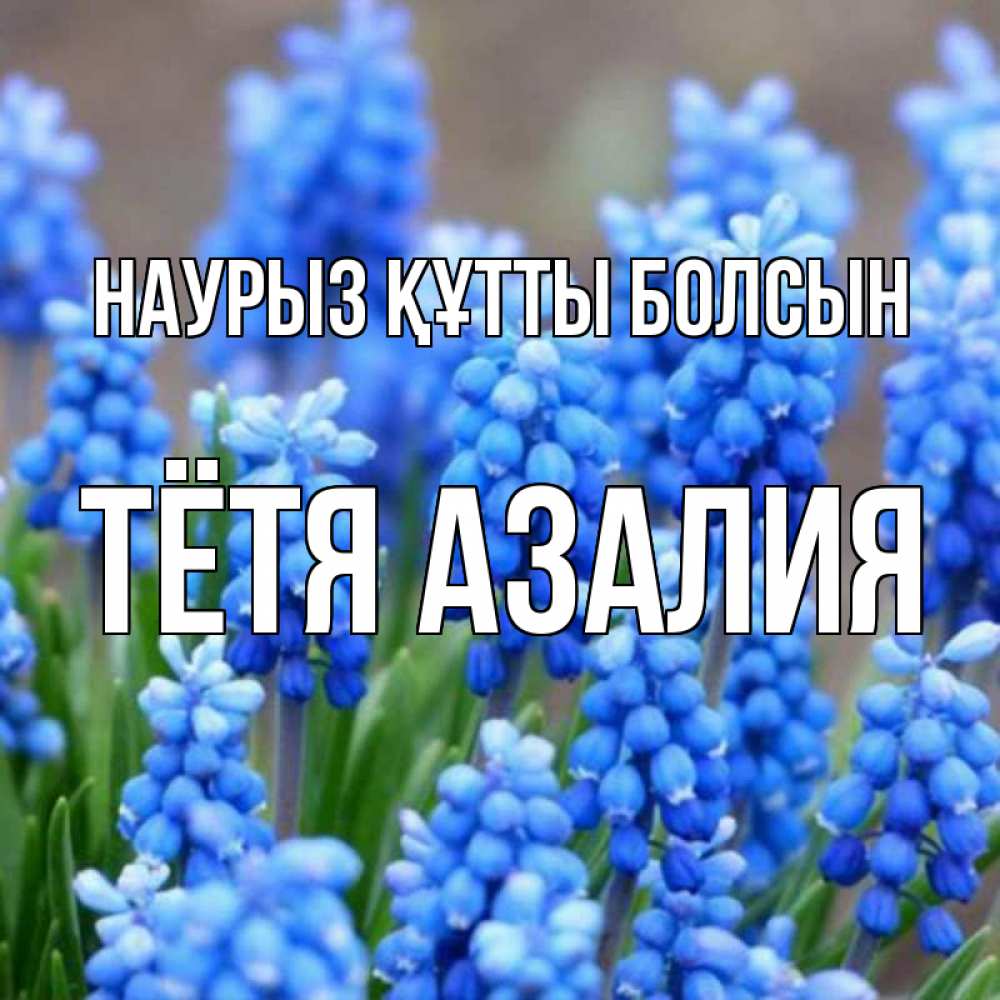 Открытка на каждый день с именем, Тётя-Азалия Наурыз құтты болсын Поздравительная открытка для женщин с цветами на праздничную дату Прикольная открытка с пожеланием онлайн скачать бесплатно 
