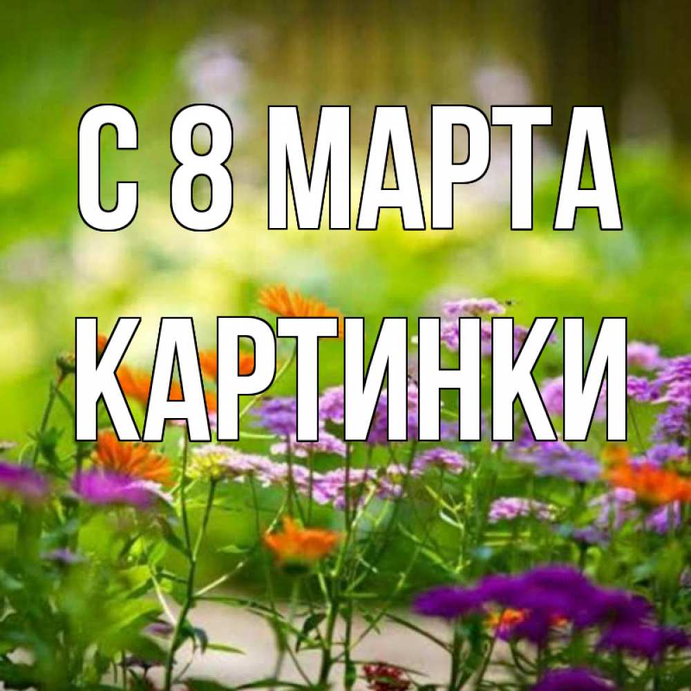 Открытка на каждый день с именем, Картинки С 8 МАРТА цветы Прикольная открытка с пожеланием онлайн скачать бесплатно 