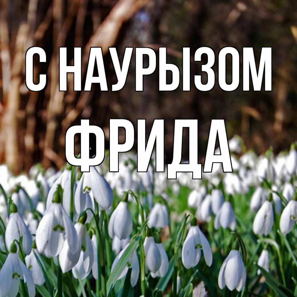 Открытка на каждый день с именем, Фрида С наурызом с подснежниками 1 Прикольная открытка с пожеланием онлайн скачать бесплатно 