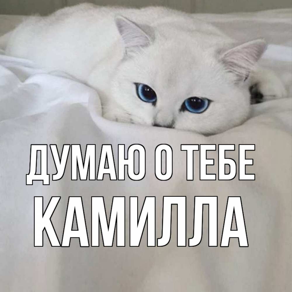 Открытка конечно же скучаю, праздничные дни открытки