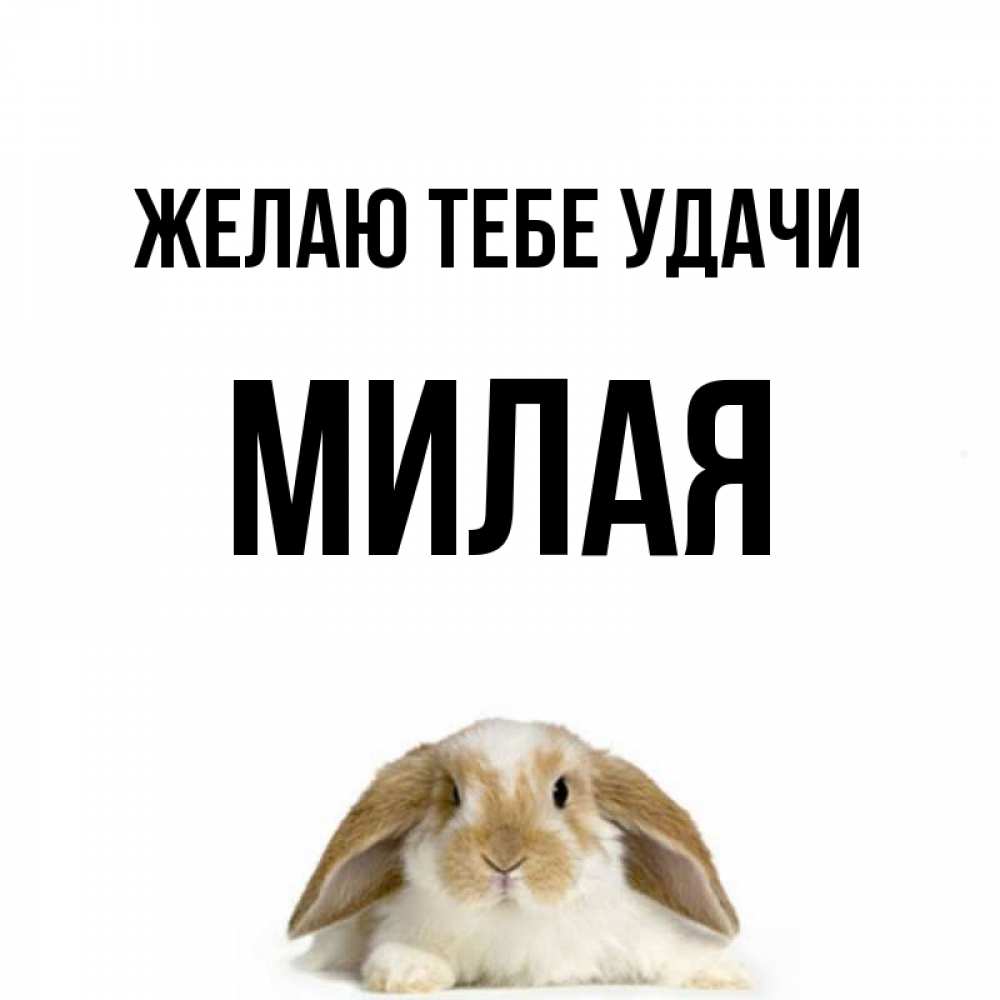 Удачи милая картинка