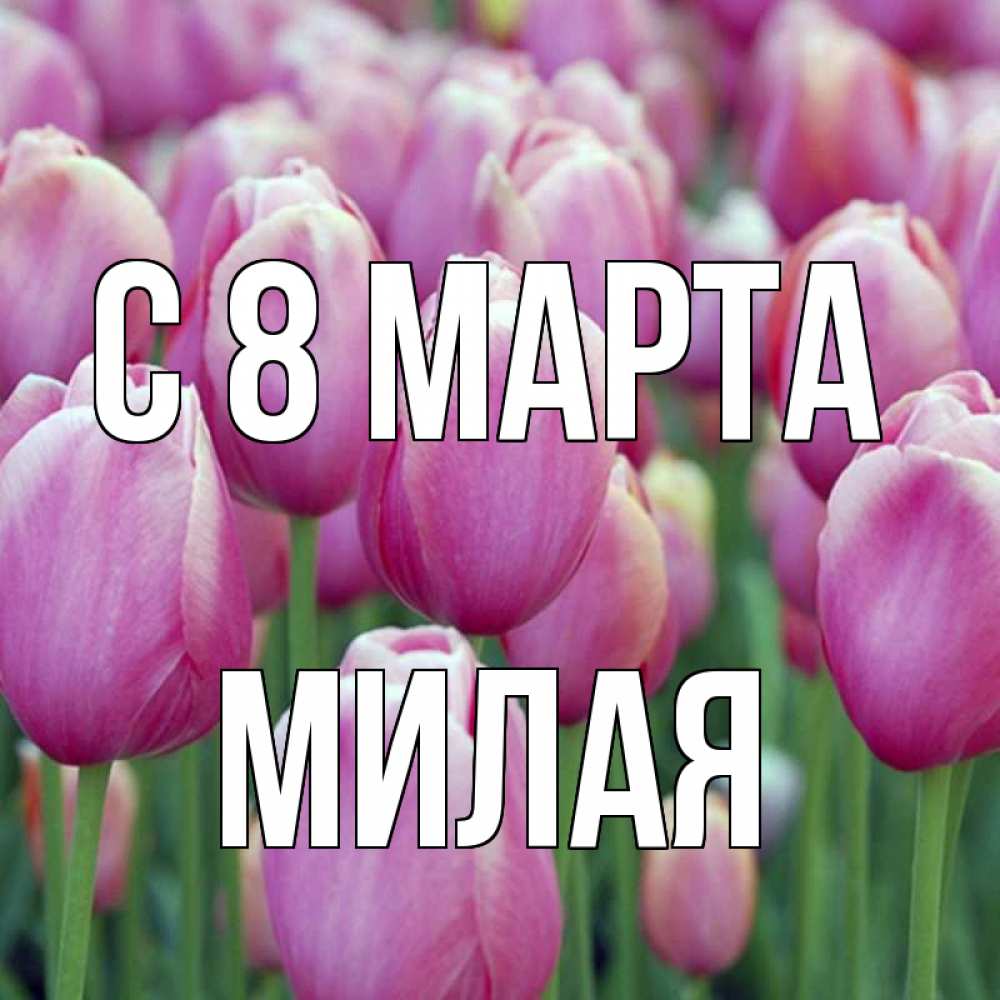 Открытка на каждый день с именем, Милая С 8 МАРТА на международный женский день 3 Прикольная открытка с пожеланием онлайн скачать бесплатно 