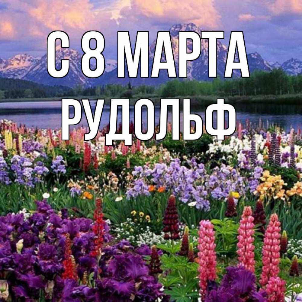 Открытка на каждый день с именем, Рудольф С 8 МАРТА международный женский день Прикольная открытка с пожеланием онлайн скачать бесплатно 