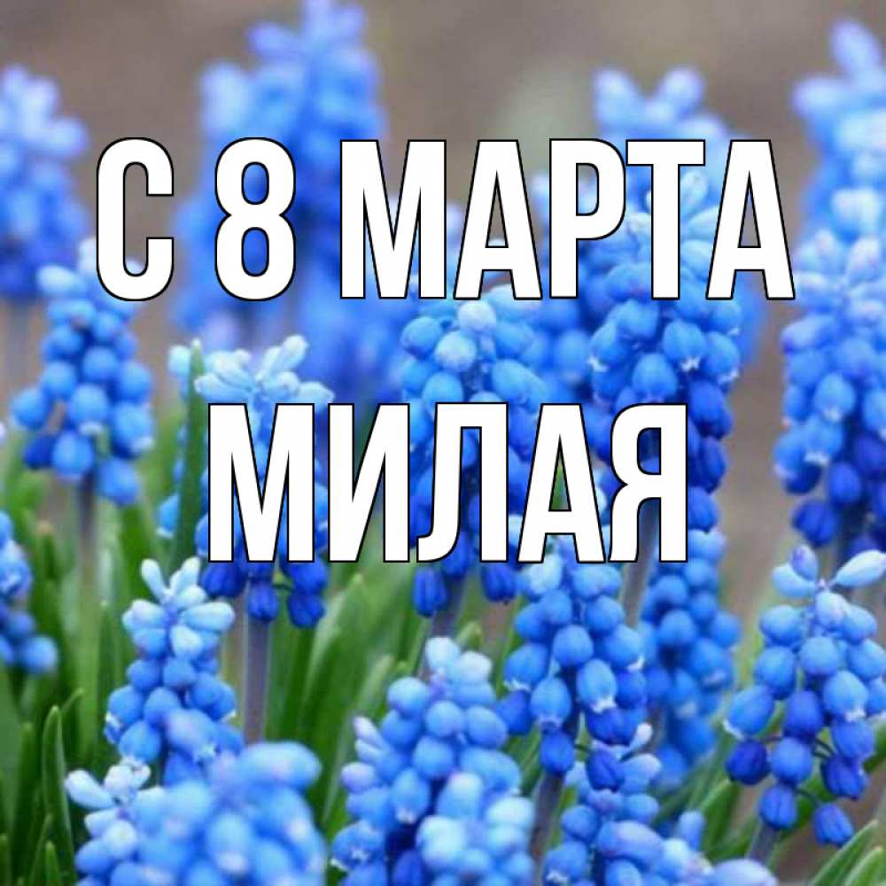 Открытка на каждый день с именем, Милая С 8 МАРТА Поздравительная открытка для женщин с цветами на праздничную дату Прикольная открытка с пожеланием онлайн скачать бесплатно 