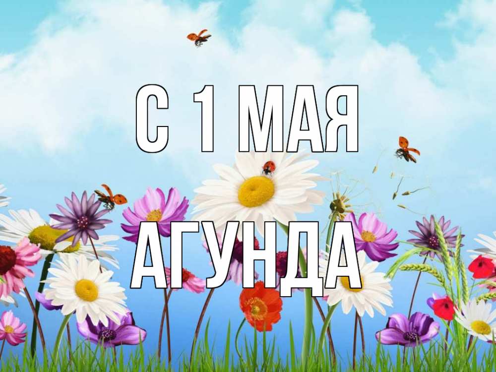 Открытка на каждый день с именем, Агунда С 1 мая С 1 мая Прикольная открытка с пожеланием онлайн скачать бесплатно 