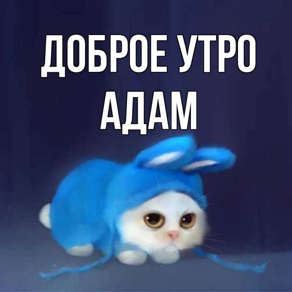 Открытка на каждый день с именем, Адам Доброе утро открытки красивые скачать бесплатно Прикольная открытка с пожеланием онлайн скачать бесплатно 