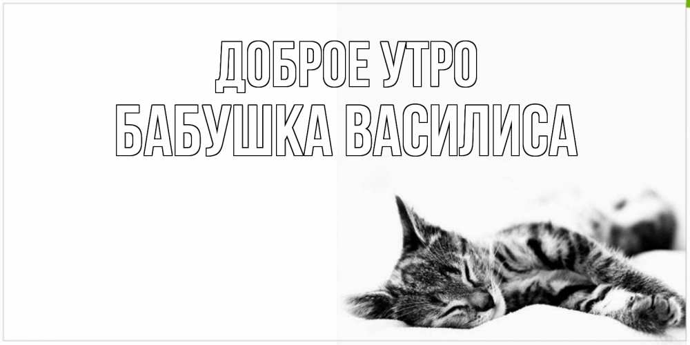 Открытка на каждый день с именем, Бабушка-Василиса Доброе утро котуся Прикольная открытка с пожеланием онлайн скачать бесплатно 