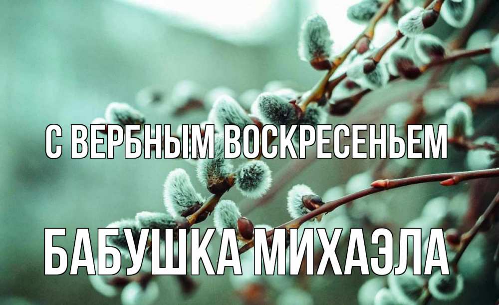 Открытка на каждый день с именем, Бабушка-Михаэла С вербным воскресеньем верба Прикольная открытка с пожеланием онлайн скачать бесплатно 