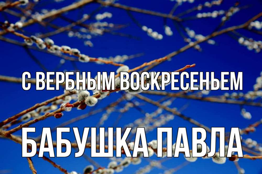 Открытка на каждый день с именем, Бабушка-Павла С вербным воскресеньем верба Прикольная открытка с пожеланием онлайн скачать бесплатно 