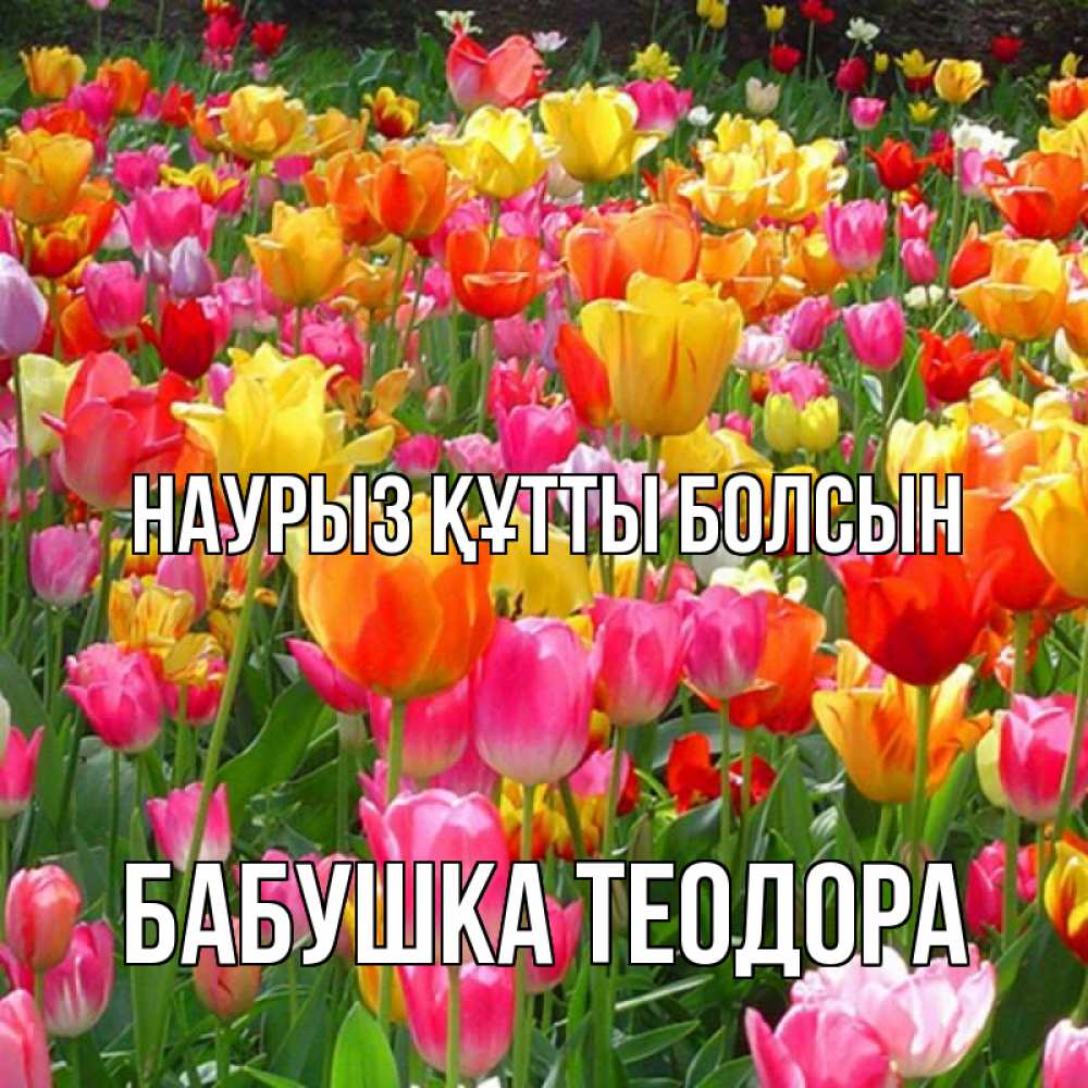 Открытка на каждый день с именем, Бабушка-Теодора Наурыз құтты болсын на наурыз  ура ура Прикольная открытка с пожеланием онлайн скачать бесплатно 