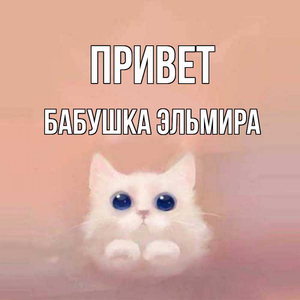 Открытка на каждый день с именем, Бабушка-Эльмира Привет котик белый в полете Прикольная открытка с пожеланием онлайн скачать бесплатно 
