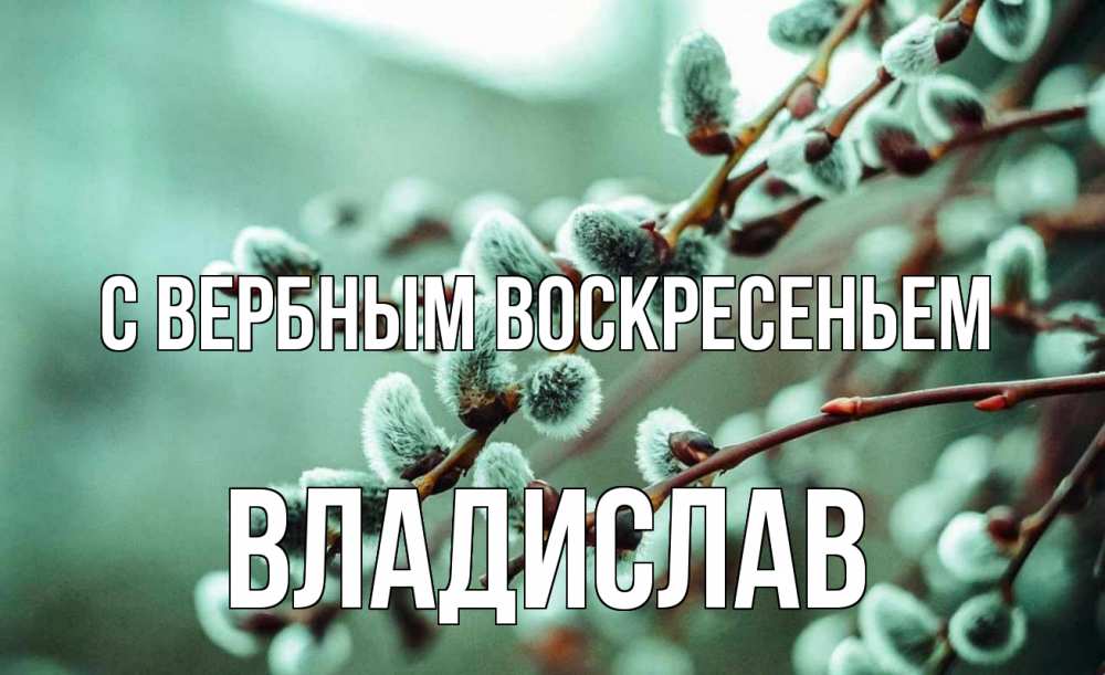 Открытка на каждый день с именем, Владислав С вербным воскресеньем верба Прикольная открытка с пожеланием онлайн скачать бесплатно 