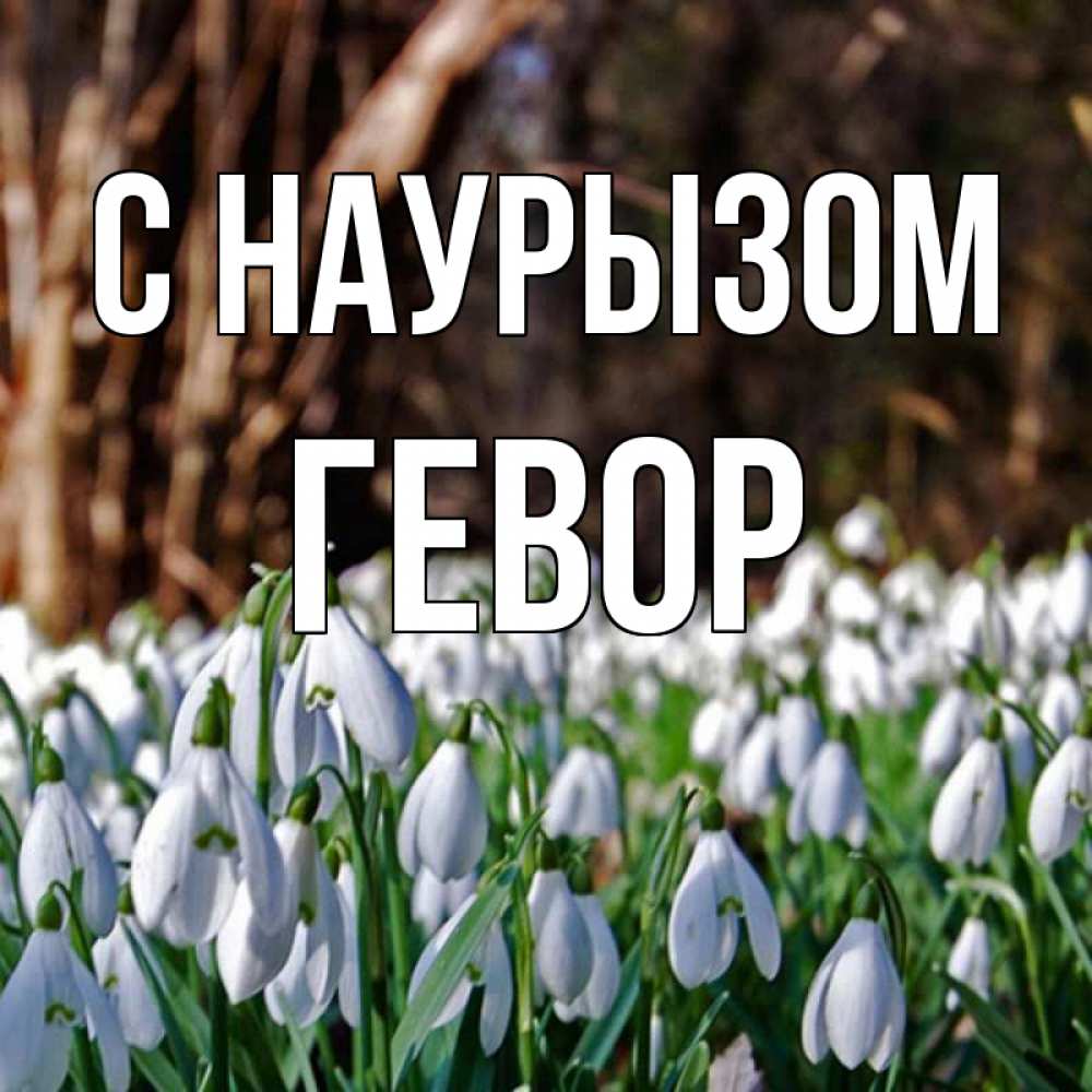 Открытка на каждый день с именем, Гевор С наурызом с подснежниками 1 Прикольная открытка с пожеланием онлайн скачать бесплатно 