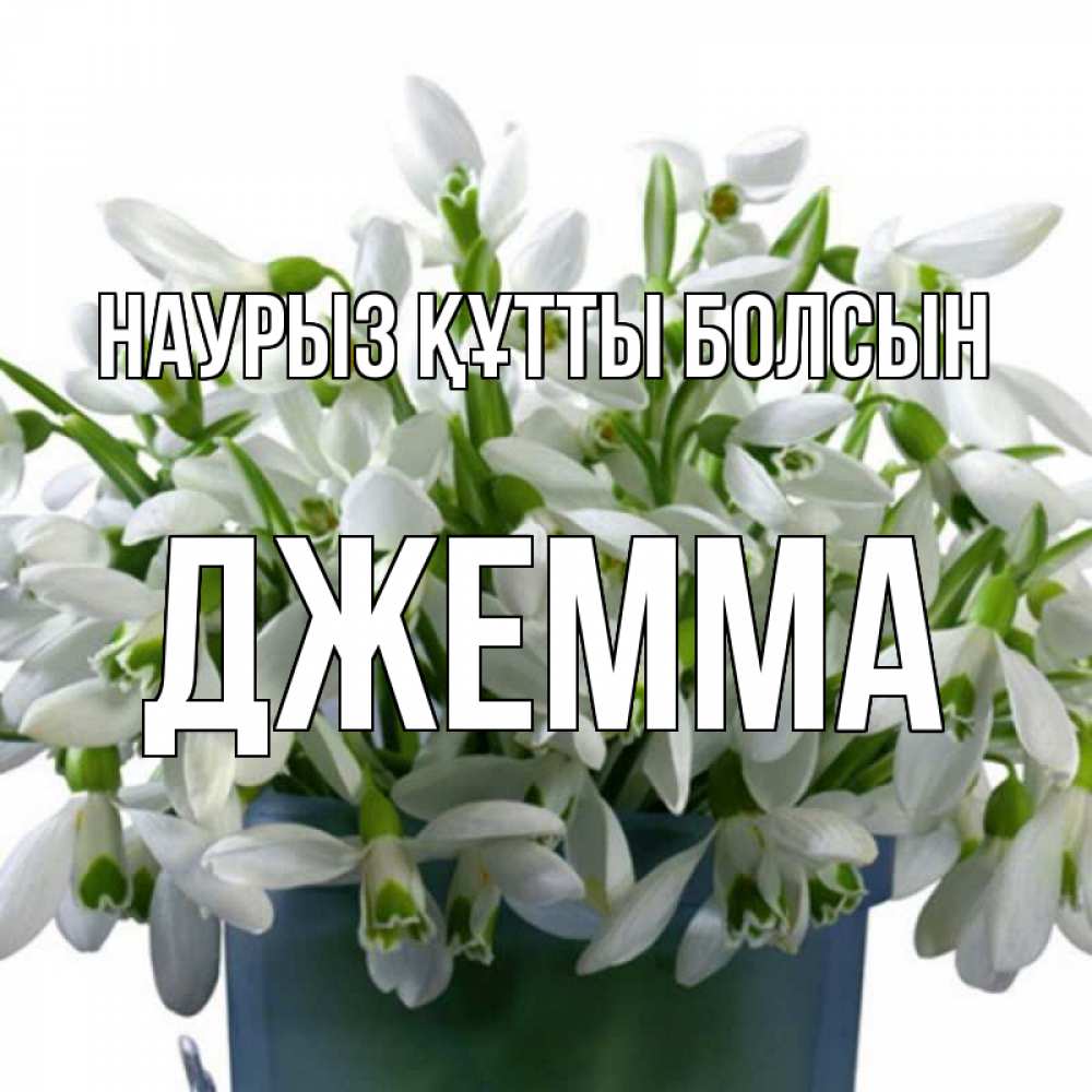 Открытка на каждый день с именем, Джемма Наурыз құтты болсын цветы к наурызу Прикольная открытка с пожеланием онлайн скачать бесплатно 