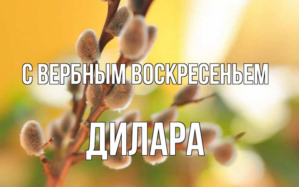 Открытка на каждый день с именем, Дилара С вербным воскресеньем верба Прикольная открытка с пожеланием онлайн скачать бесплатно 