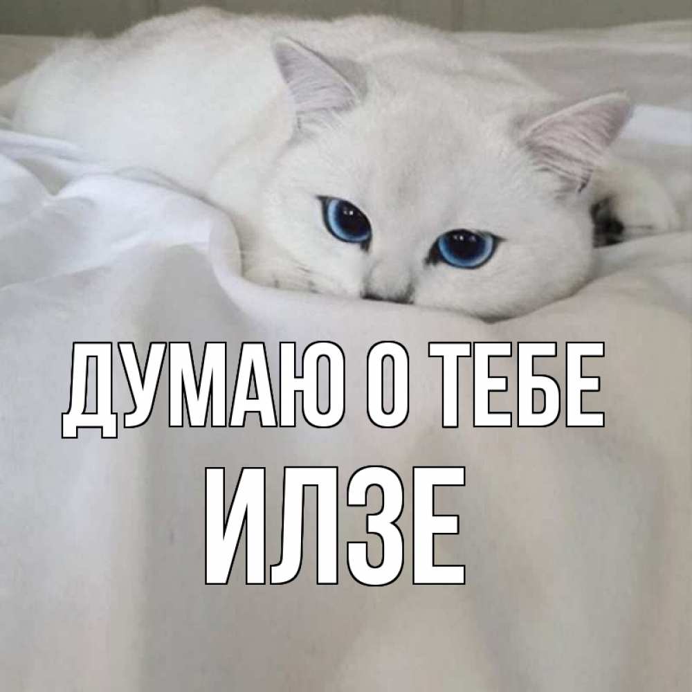 Открытка на каждый день с именем, Илзе Думаю о тебе я очень по тебе скучаю и тоскую Прикольная открытка с пожеланием онлайн скачать бесплатно 