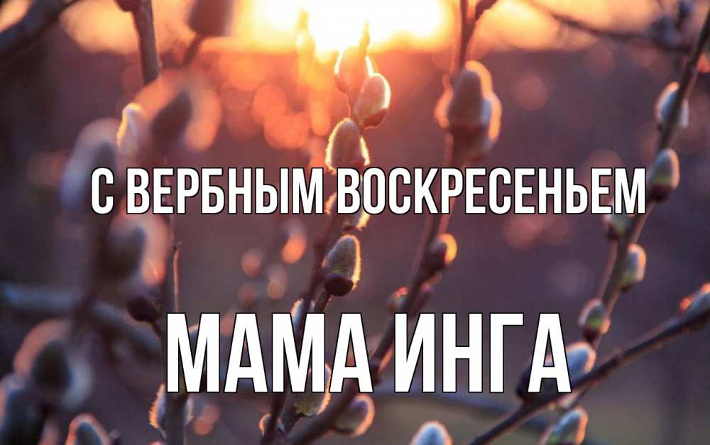 Открытка на каждый день с именем, Мама-Инга С вербным воскресеньем верба Прикольная открытка с пожеланием онлайн скачать бесплатно 