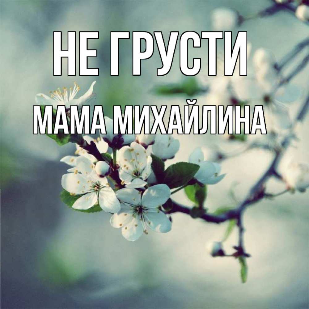 Открытка на каждый день с именем, Мама-Михайлина Не грусти яблоня в цвету 1 Прикольная открытка с пожеланием онлайн скачать бесплатно 