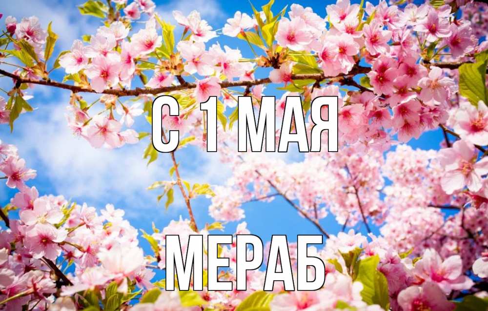 Открытка на каждый день с именем, Мераб С 1 мая С 1 мая Прикольная открытка с пожеланием онлайн скачать бесплатно 