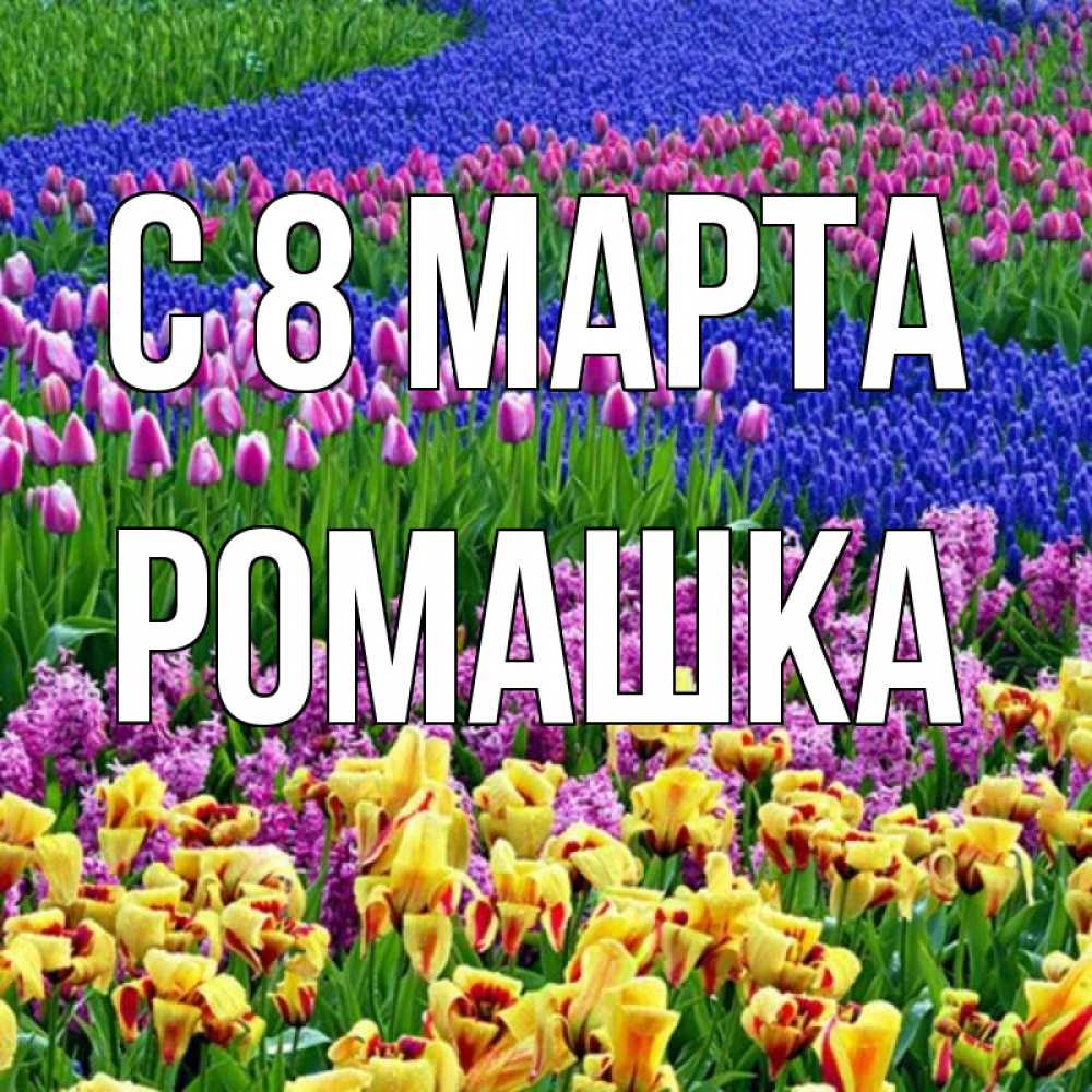 Открытка на каждый день с именем, Ромашка С 8 марта цветы Прикольная открытка с пожеланием онлайн скачать бесплатно 