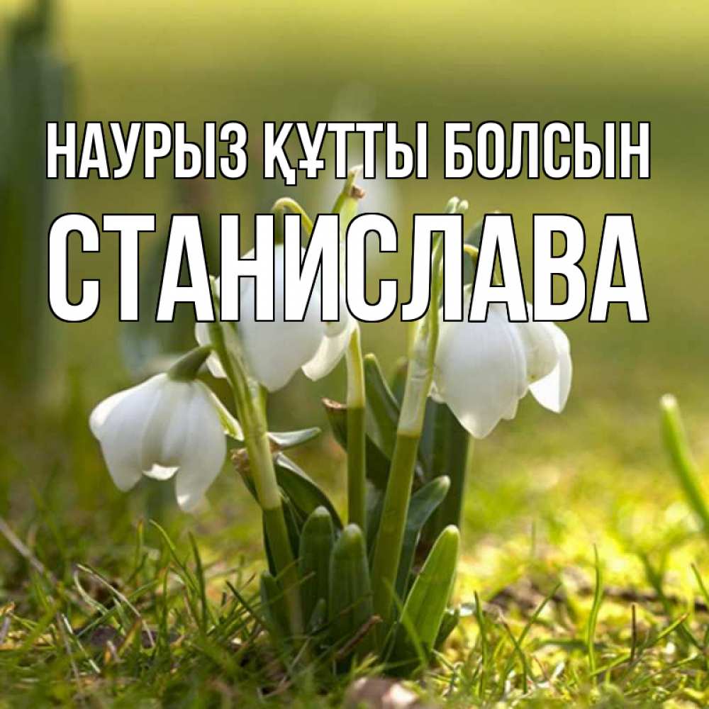 Открытка на каждый день с именем, Станислава Наурыз құтты болсын ранние цветы 2 Прикольная открытка с пожеланием онлайн скачать бесплатно 