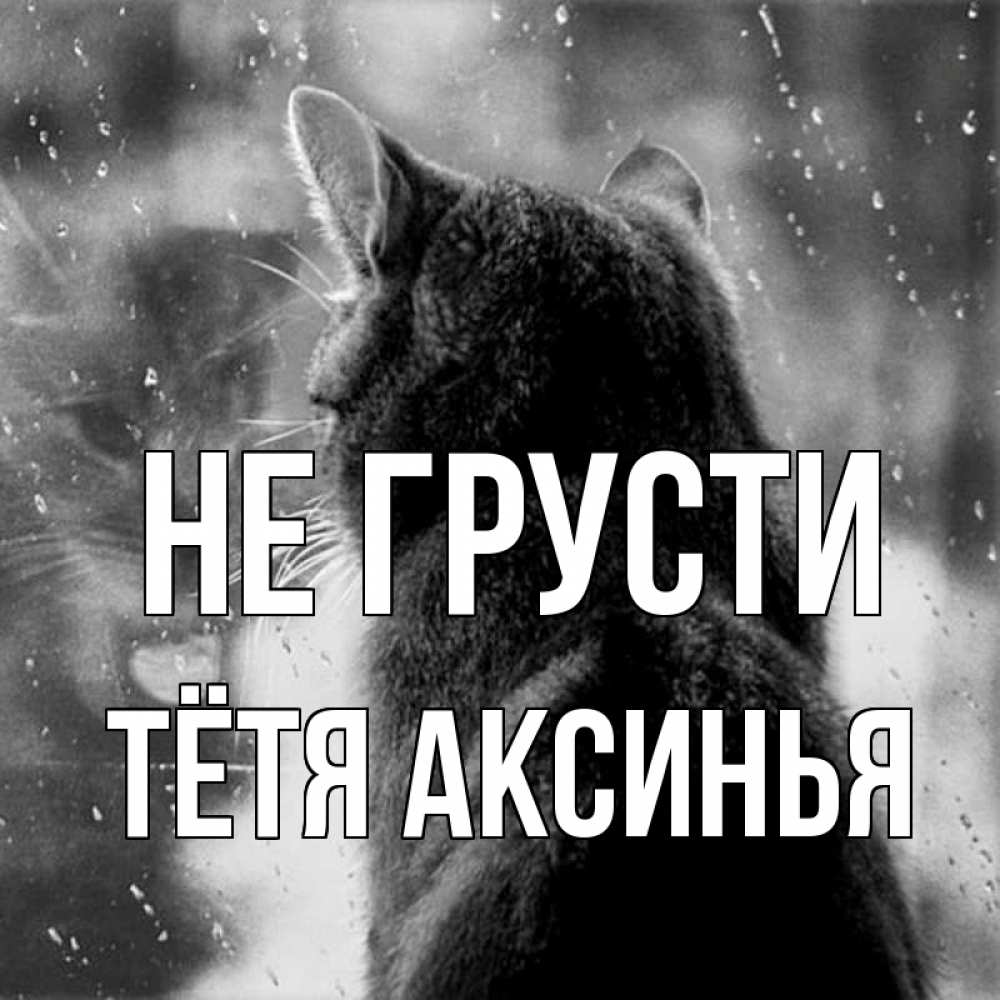 Открытка на каждый день с именем, Тётя-Аксинья Не грусти отражение кота 1 Прикольная открытка с пожеланием онлайн скачать бесплатно 