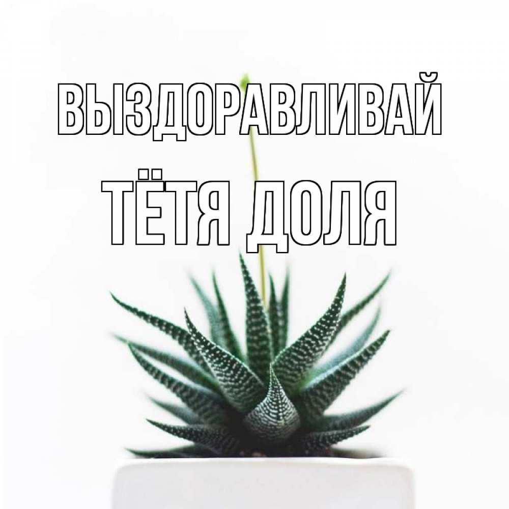 Открытка на каждый день с именем, Тётя-Доля Выздоравливай короче это непонятная колючка Прикольная открытка с пожеланием онлайн скачать бесплатно 