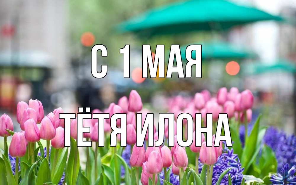 Открытка на каждый день с именем, Тётя-Илона С 1 мая С 1 мая Прикольная открытка с пожеланием онлайн скачать бесплатно 