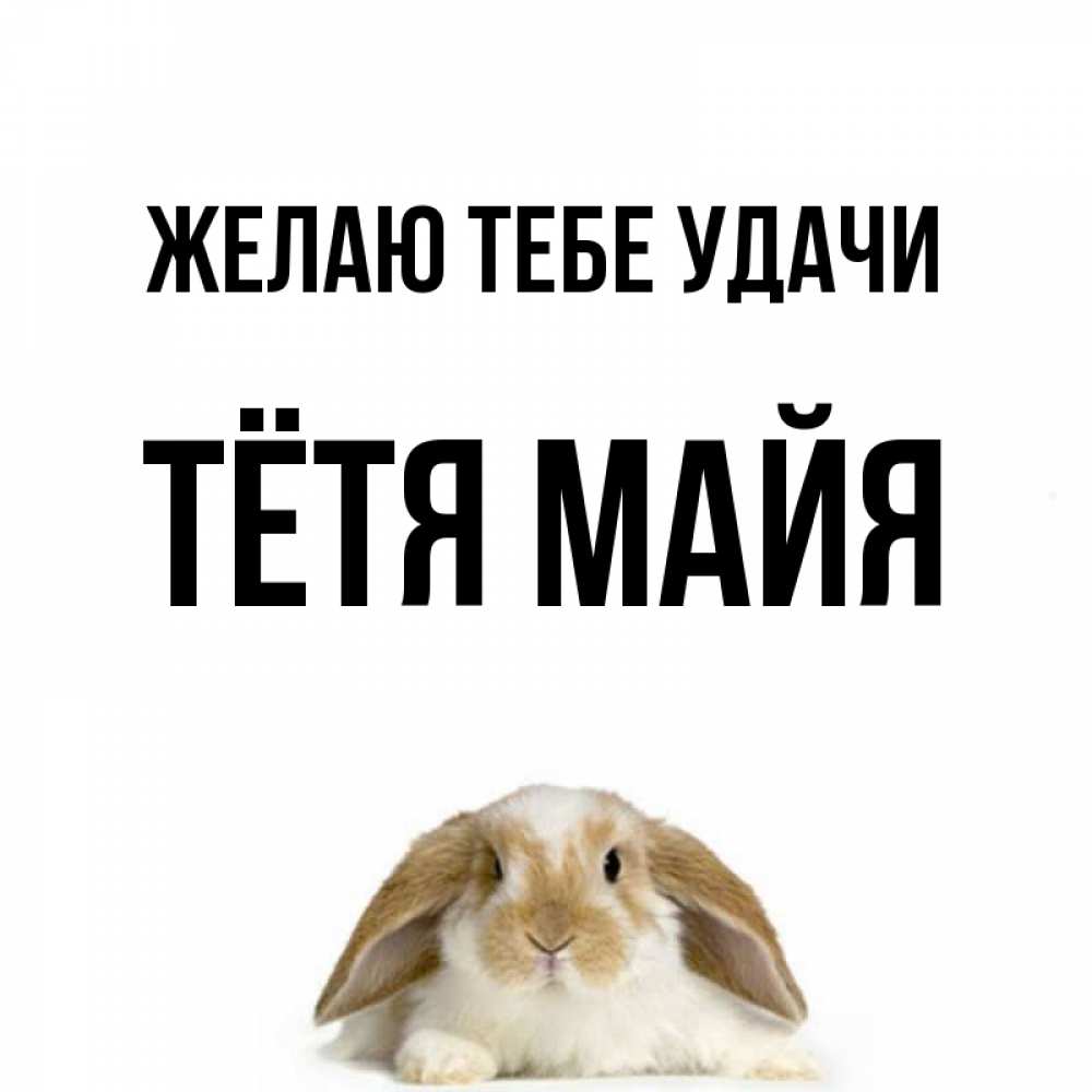 Открытка на каждый день с именем, Тётя-Майя Желаю тебе удачи открытки с произвольным текстом который можно вставить в открытку и создать ее самостоятельно бесплатно онлайн Прикольная открытка с пожеланием онлайн скачать бесплатно 