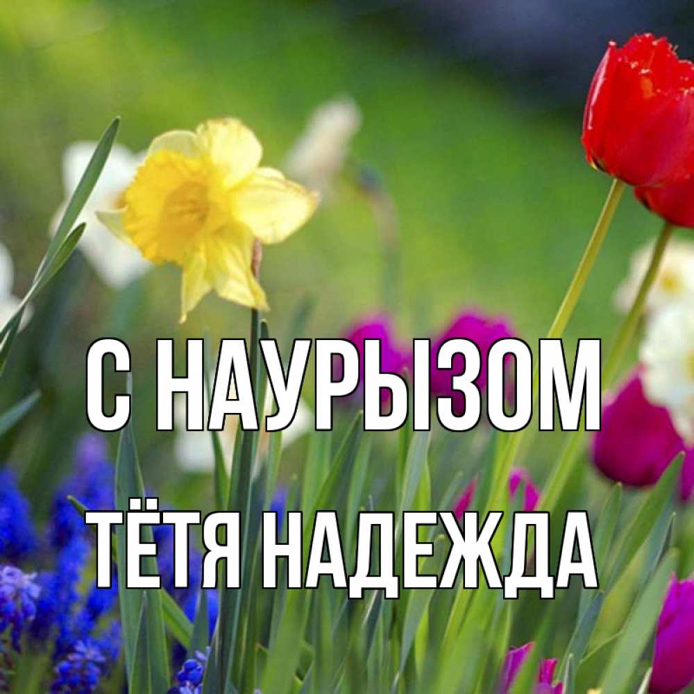 Открытка на каждый день с именем, Тётя-Надежда С наурызом праздник весны наурыз 3 Прикольная открытка с пожеланием онлайн скачать бесплатно 