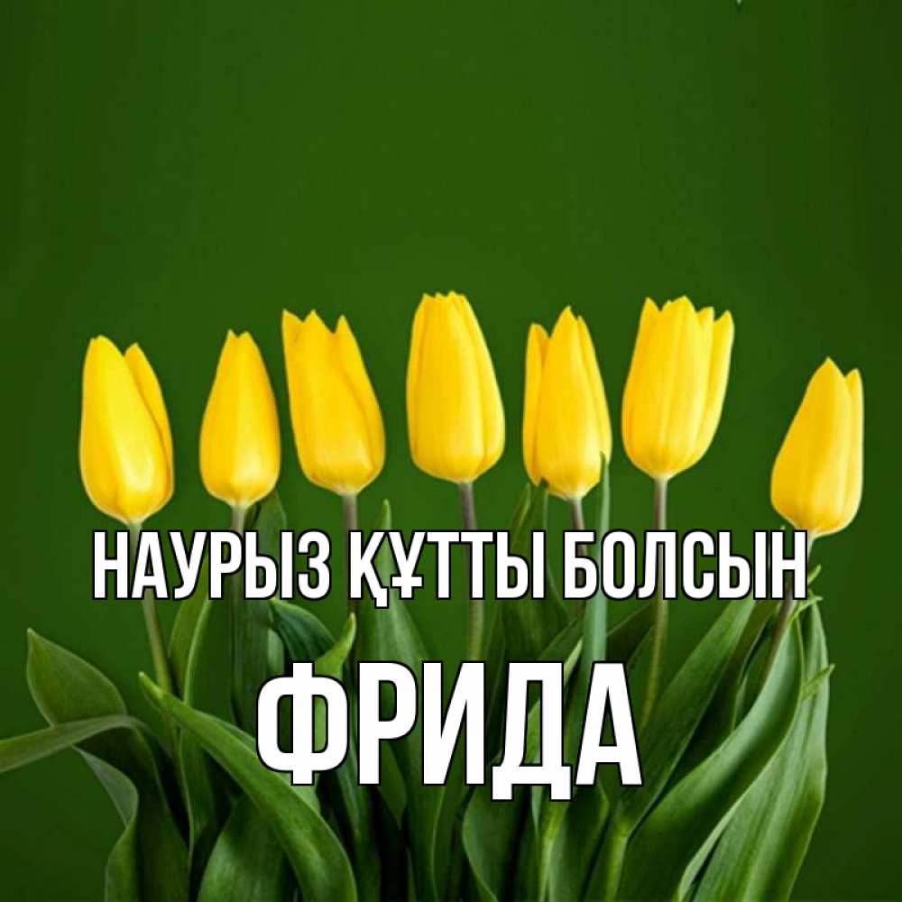 Открытка на каждый день с именем, Фрида Наурыз құтты болсын желтого цвета 3 Прикольная открытка с пожеланием онлайн скачать бесплатно 