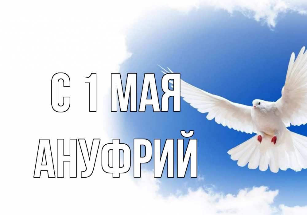 Открытка на каждый день с именем, Ануфрий С 1 мая С 1 мая Прикольная открытка с пожеланием онлайн скачать бесплатно 