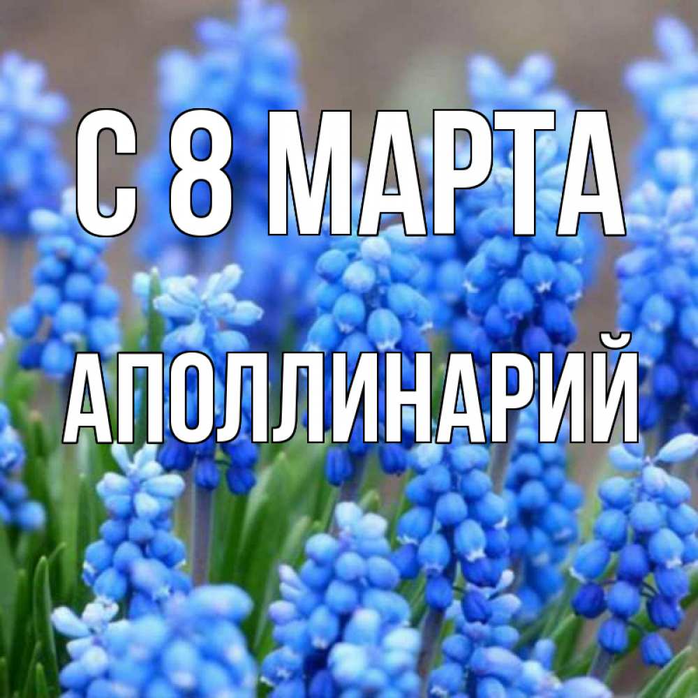 Открытка на каждый день с именем, Аполлинарий С 8 МАРТА Поздравительная открытка для женщин с цветами на праздничную дату Прикольная открытка с пожеланием онлайн скачать бесплатно 