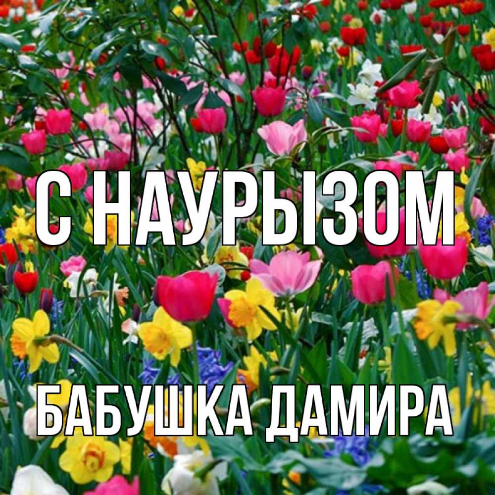 Открытка на каждый день с именем, Бабушка-Дамира С наурызом с наурызом праздником весны поздравления для женщины Прикольная открытка с пожеланием онлайн скачать бесплатно 