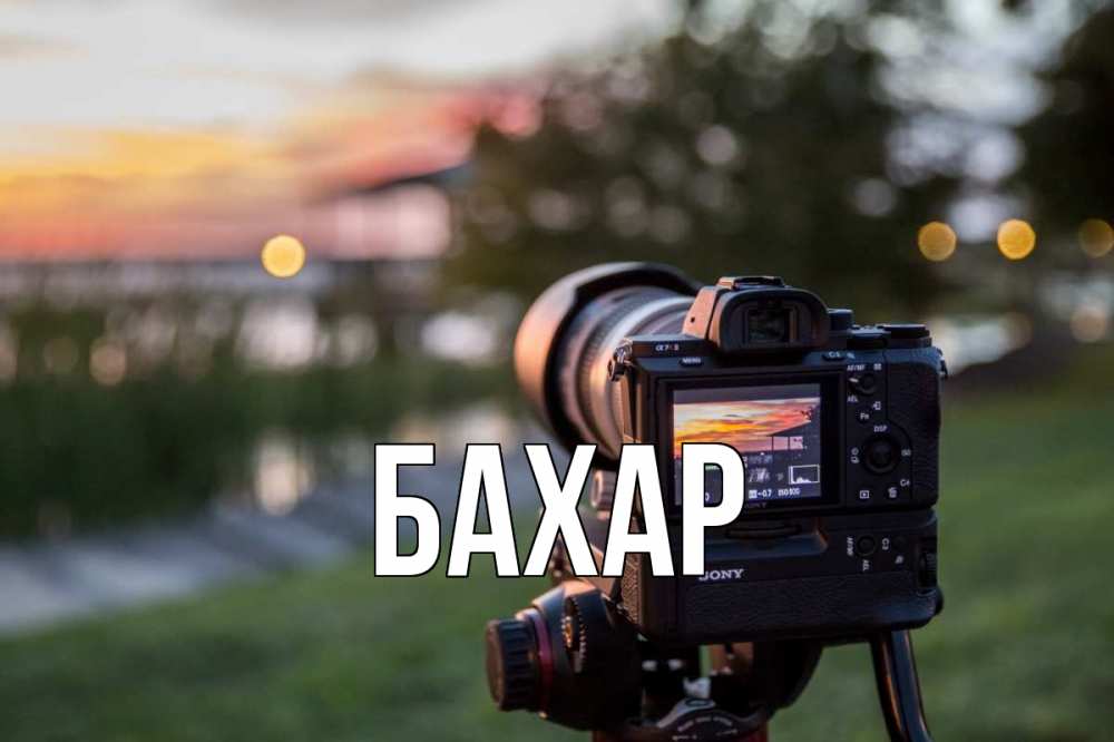 Открытка на каждый день с именем, Бахар Главная с днем фотографа Прикольная открытка с пожеланием онлайн скачать бесплатно 