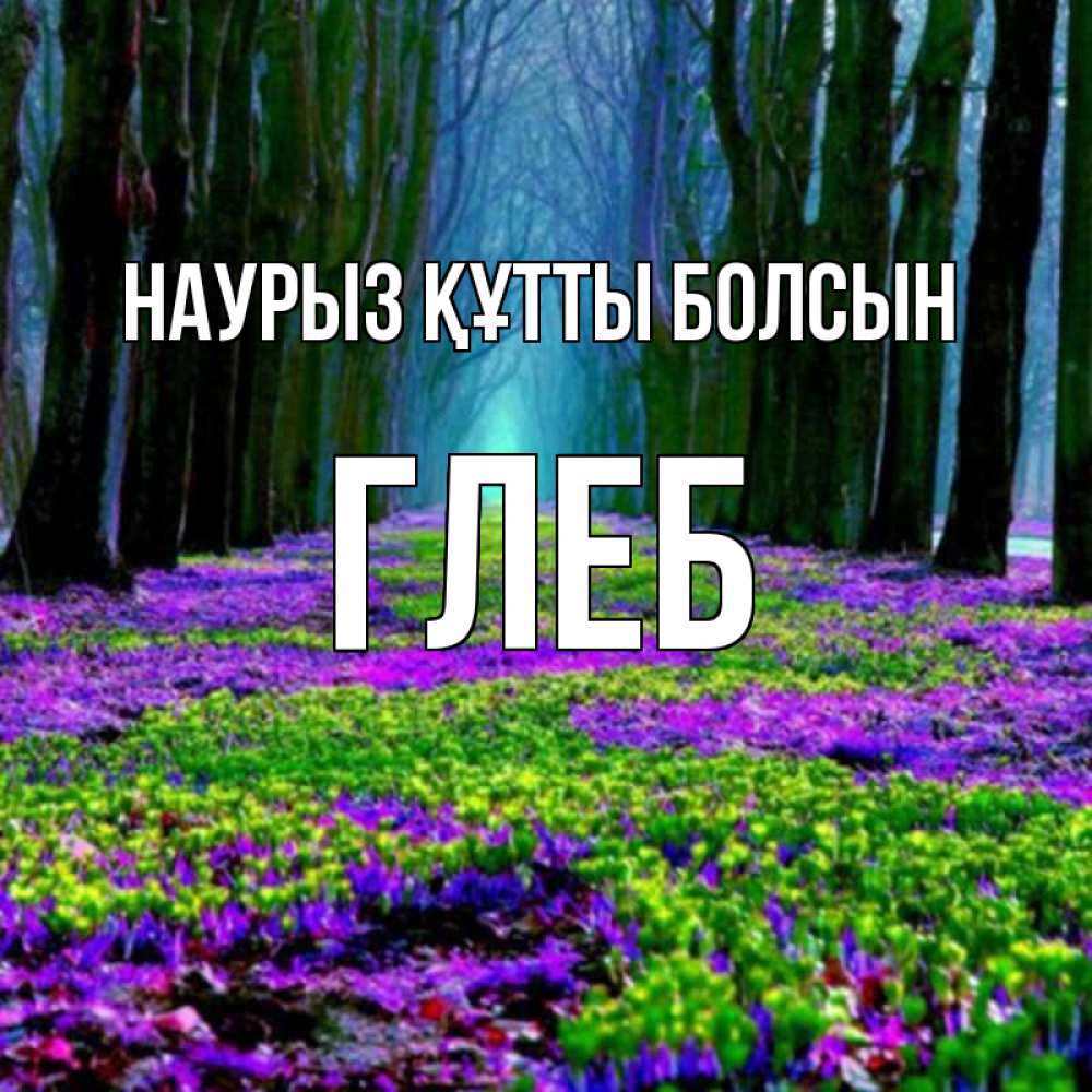 Открытка на каждый день с именем, Глеб Наурыз құтты болсын фиолетовые цветы в лесу 1 Прикольная открытка с пожеланием онлайн скачать бесплатно 