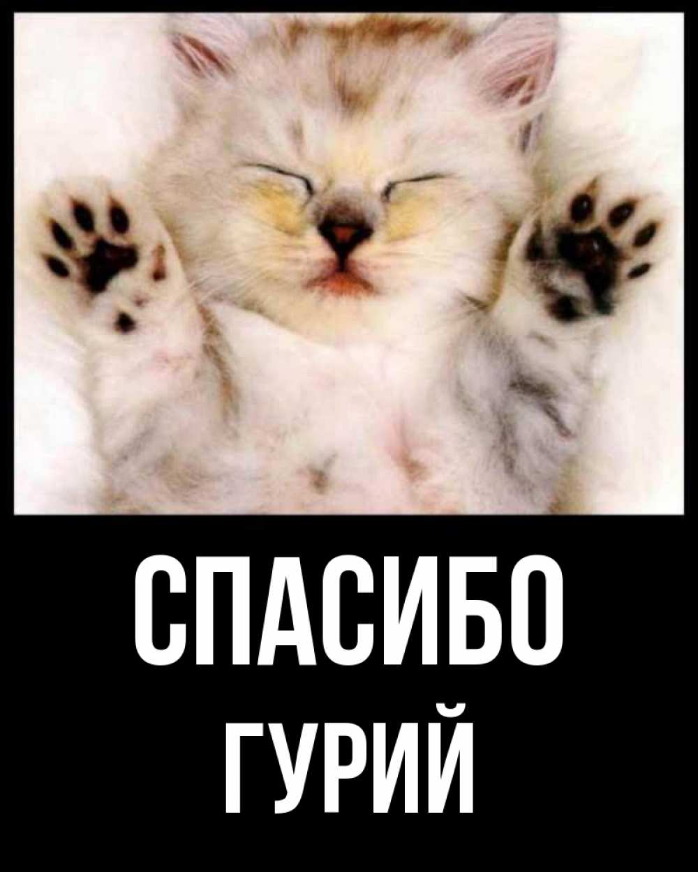 Открытка на каждый день с именем, Гурий Спасибо маленький котенок Прикольная открытка с пожеланием онлайн скачать бесплатно 