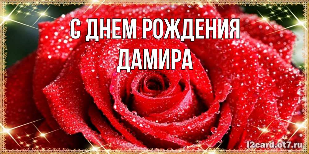 Открытка на каждый день с именем, Дамира С днем рождения роса и роза. открытка с красивой розой Прикольная открытка с пожеланием онлайн скачать бесплатно 