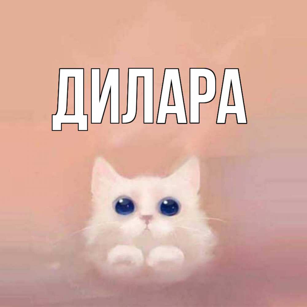 Открытка на каждый день с именем, Дилара Главная на розовом фоне Прикольная открытка с пожеланием онлайн скачать бесплатно 