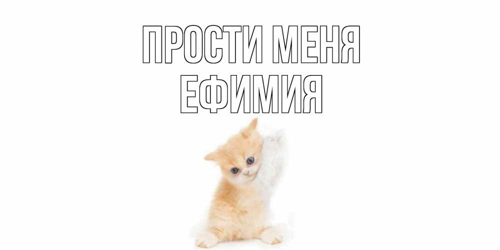 Открытка на каждый день с именем, Ефимия Прости меня кот Прикольная открытка с пожеланием онлайн скачать бесплатно 