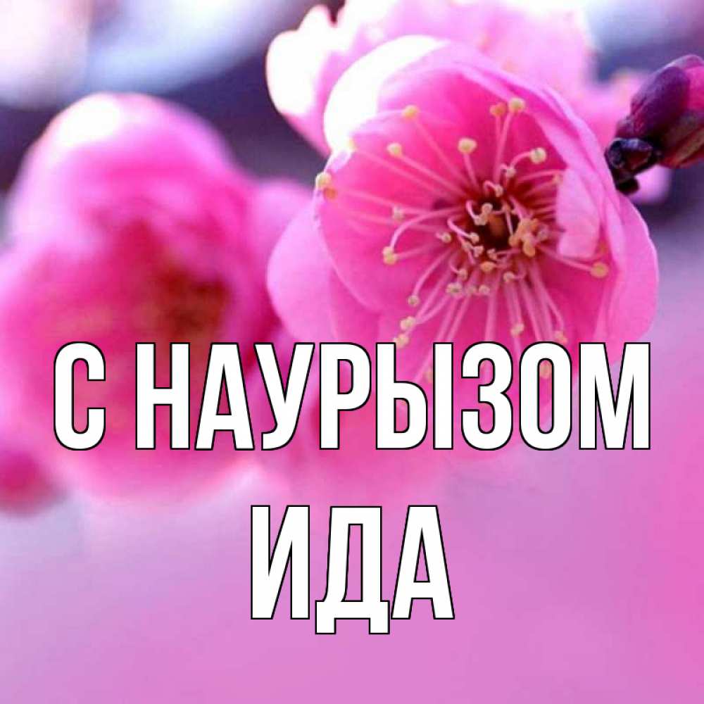 Открытка на каждый день с именем, Ида С наурызом международный женский день Прикольная открытка с пожеланием онлайн скачать бесплатно 