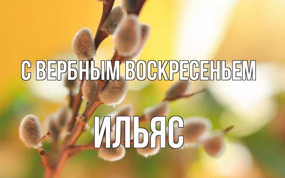 Открытка на каждый день с именем, Ильяс С вербным воскресеньем верба Прикольная открытка с пожеланием онлайн скачать бесплатно 