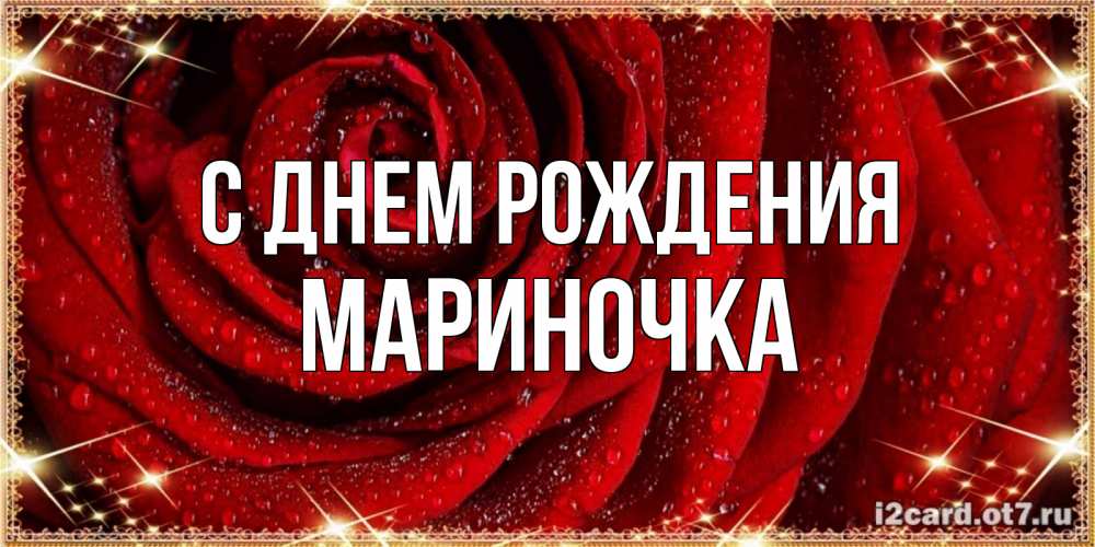 Открытка на каждый день с именем, МАРИНОЧКА С днем рождения роса на розе блестящая в лучах солнца Прикольная открытка с пожеланием онлайн скачать бесплатно 