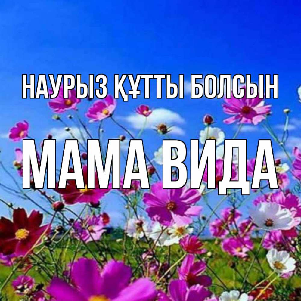 Открытка на каждый день с именем, Мама-Вида Наурыз құтты болсын цветы Прикольная открытка с пожеланием онлайн скачать бесплатно 