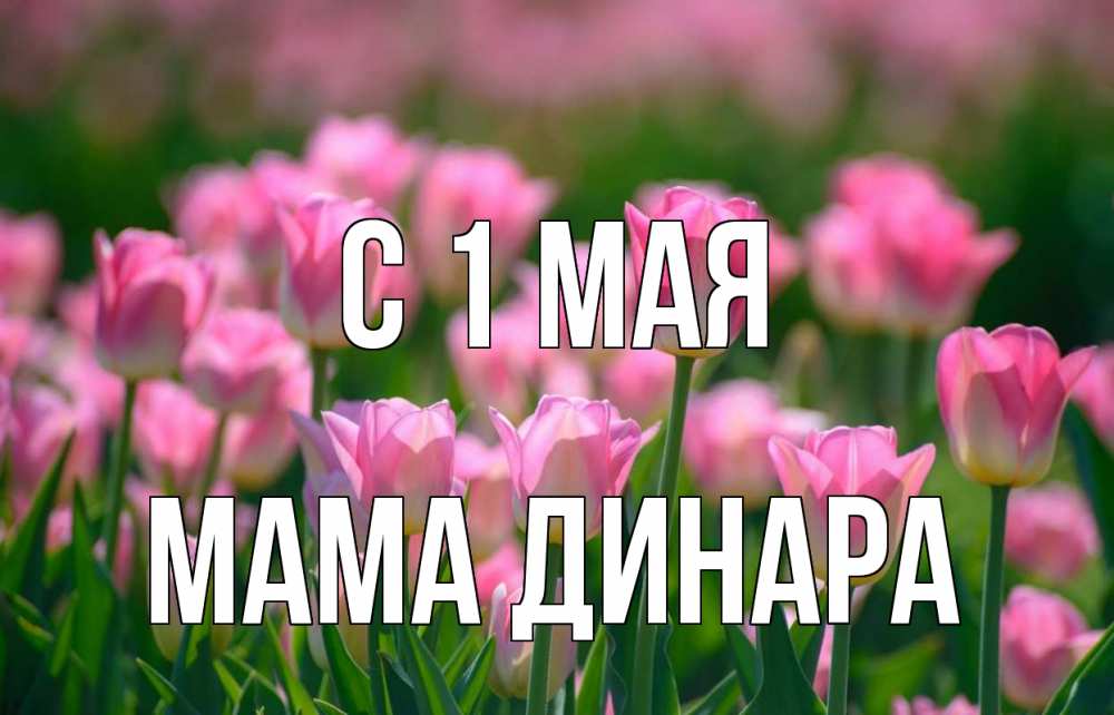 Открытка на каждый день с именем, Мама-Динара С 1 мая С 1 мая Прикольная открытка с пожеланием онлайн скачать бесплатно 