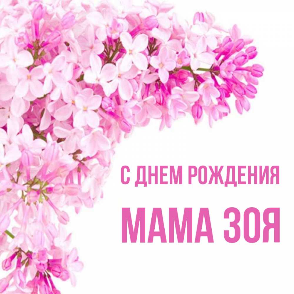 Открытка на каждый день с именем, Мама-Зоя С днем рождения Сирень на белом фоне Прикольная открытка с пожеланием онлайн скачать бесплатно 