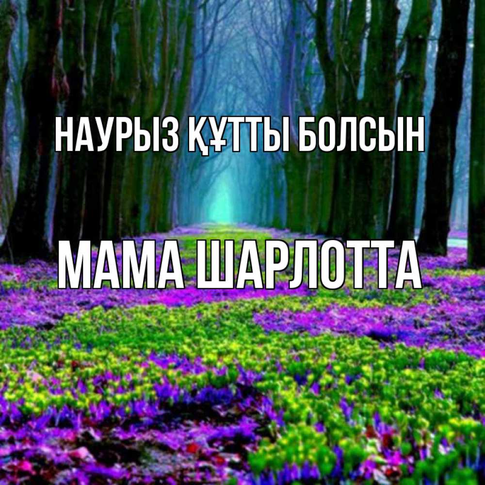 Открытка на каждый день с именем, Мама-Шарлотта Наурыз құтты болсын фиолетовые цветы в лесу 1 Прикольная открытка с пожеланием онлайн скачать бесплатно 