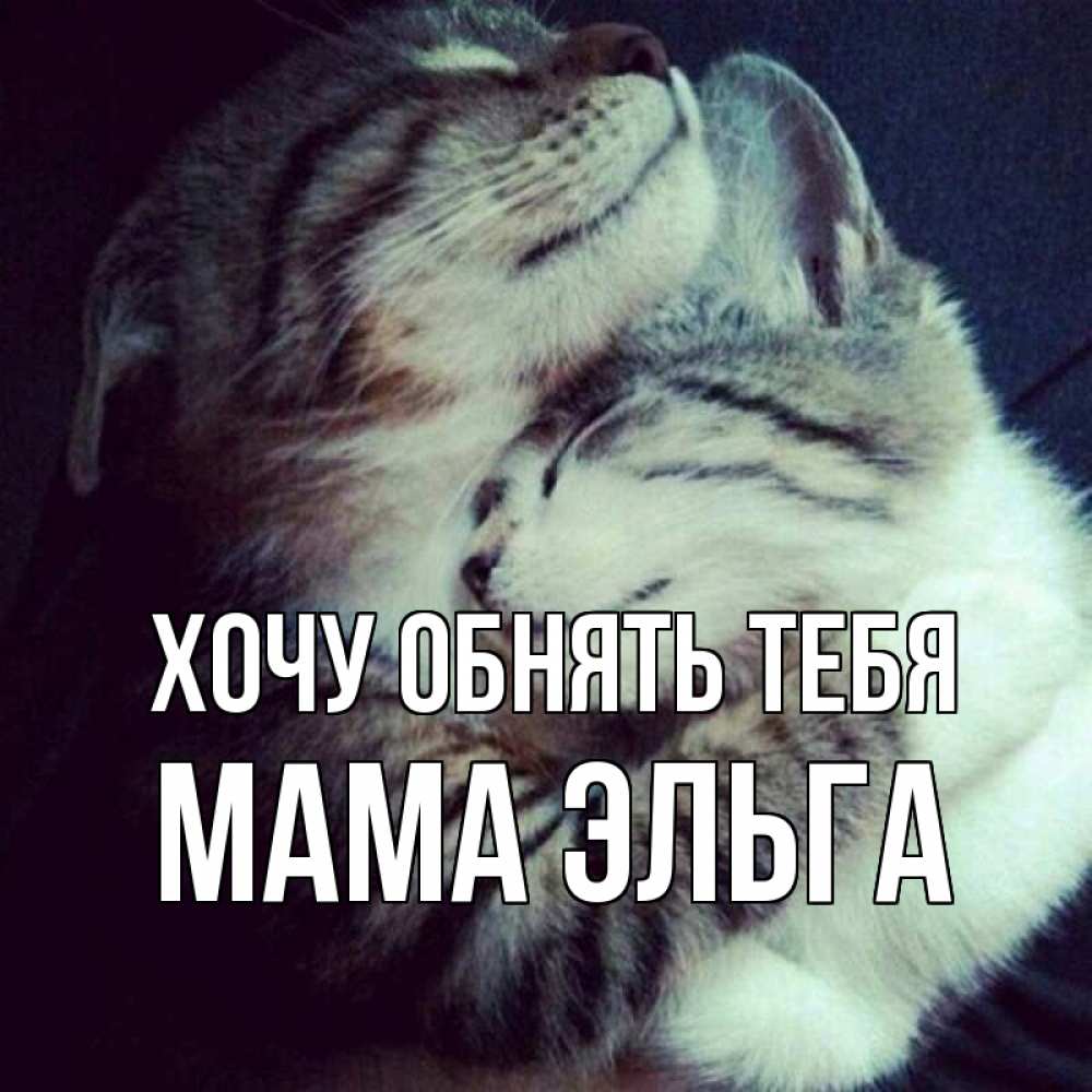 Открытка на каждый день с именем, Мама-Эльга Хочу обнять тебя полосатики Прикольная открытка с пожеланием онлайн скачать бесплатно 