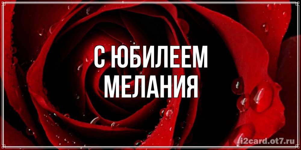 Открытка на каждый день с именем, Мелания С юбилеем крупная бордовая роза Прикольная открытка с пожеланием онлайн скачать бесплатно 