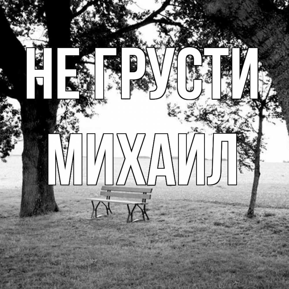 Открытка на каждый день с именем, Михаил Не грусти мощное дерево Прикольная открытка с пожеланием онлайн скачать бесплатно 